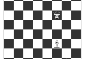 Dlaczego zwierzęta nie robią głupstw i czy społeczeństwo może głupieć w nieskończoność? cz. 2